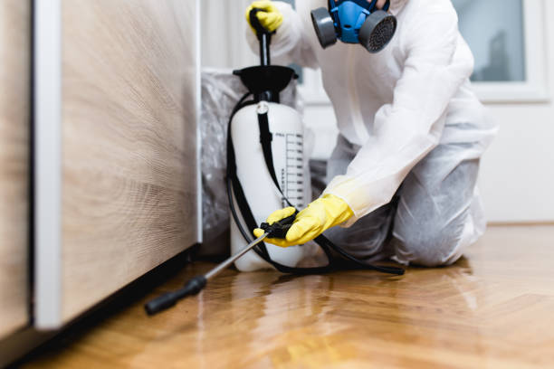Best Pest Control Near Me in Scott, LA
