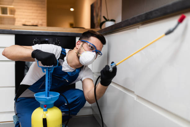 Best Wasp Removal Services  in Scott, LA