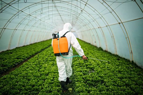 Best Best Pest Control Near Me  in Scott, LA