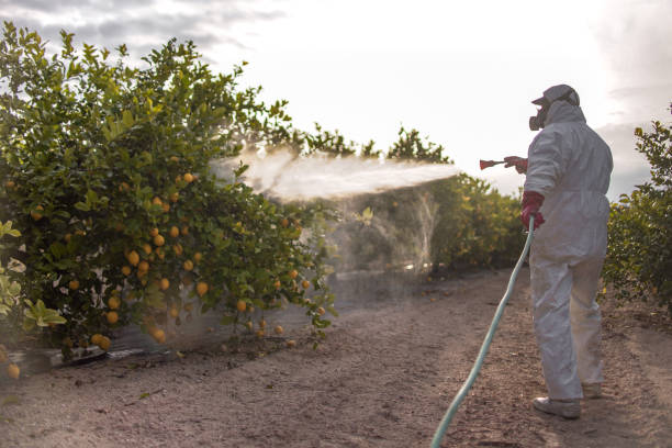 Best Residential Pest Control  in Scott, LA