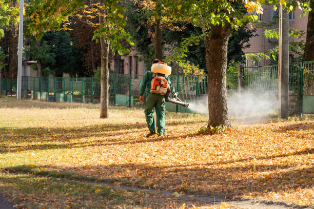Best Flea Control Services  in Scott, LA