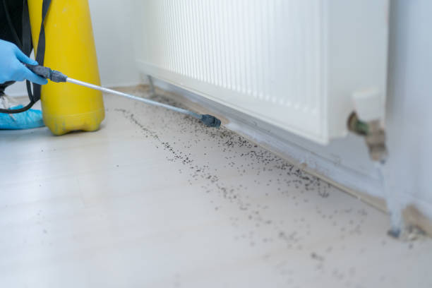 Best Pest Removal Services  in Scott, LA